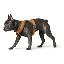 Arnés para Perro Hunter London Comfort 48-56 cm Naranja Talla S/M