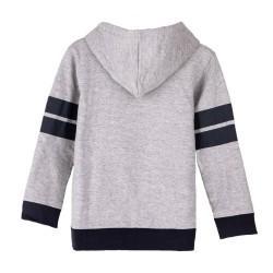 Sudadera con Capucha Niño Harry Potter Gris