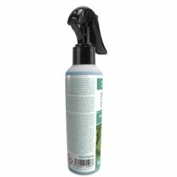 Ambientador para Coche PER70026 200 ml Menta